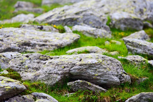 Скалы на горе — стоковое фото
