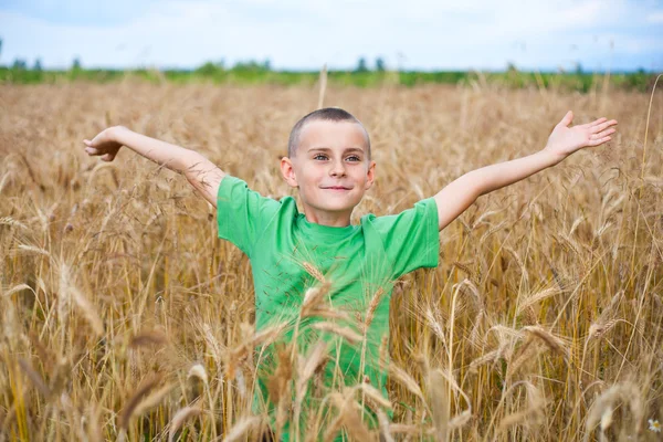 Bambino adorabile in un campo di grano — Foto Stock