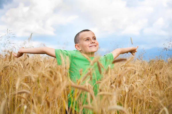 Schattig kind in een tarweveld — Stockfoto