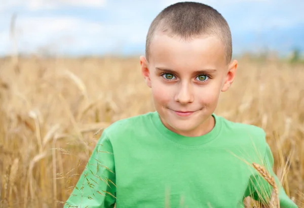 Bedårande barn i ett vete fält — Stockfoto