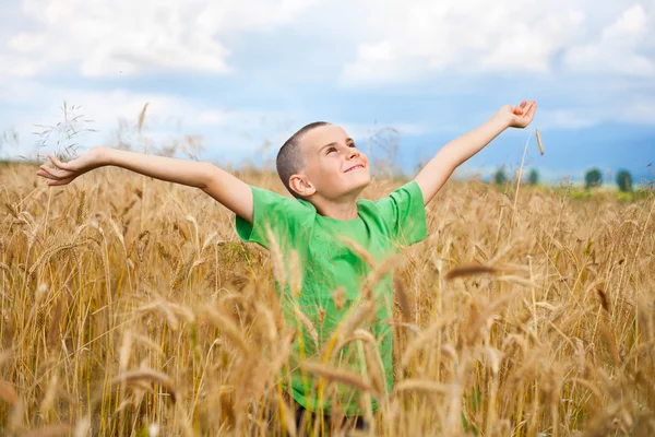 Criança adorável em um campo de trigo — Fotografia de Stock