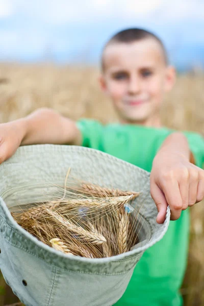 在小麦田中的可爱儿童 — 图库照片