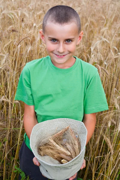 Buğday alanında çok güzel çocuk — Stok fotoğraf