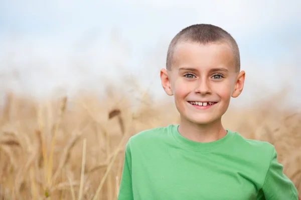 Bambino adorabile in un campo di grano — Foto Stock