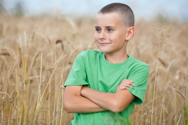Entzückendes Kind in einem Weizenfeld — Stockfoto