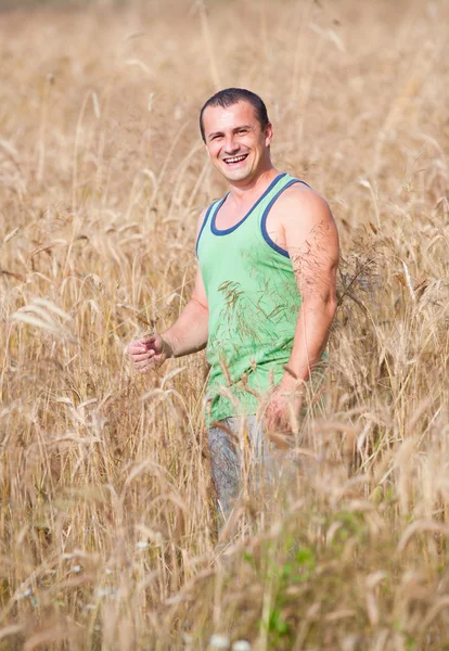 Молодой фермер на своем пшеничном поле — стоковое фото