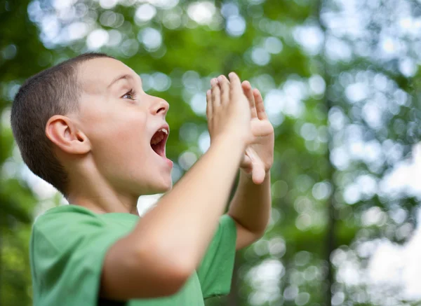 Μικρό αγόρι φωνάζοντας στο δάσος — Φωτογραφία Αρχείου