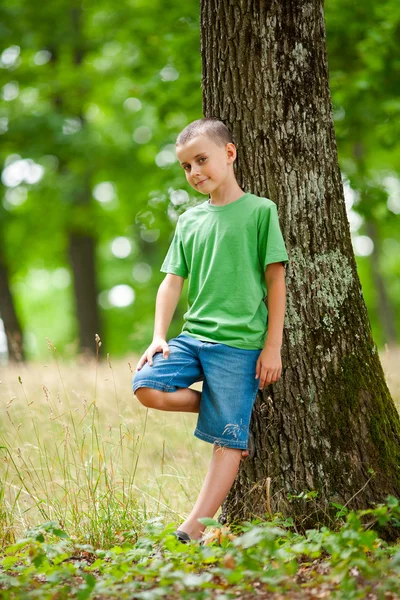 Kleine jongen in het bos — Stockfoto