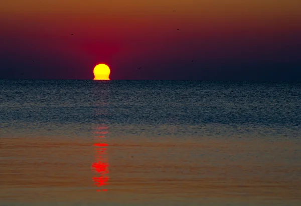 Восход солнца над водой — стоковое фото