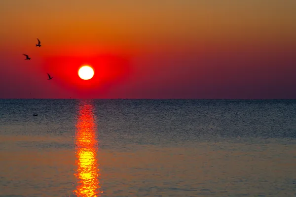 Sunrise over water — Stock Photo, Image