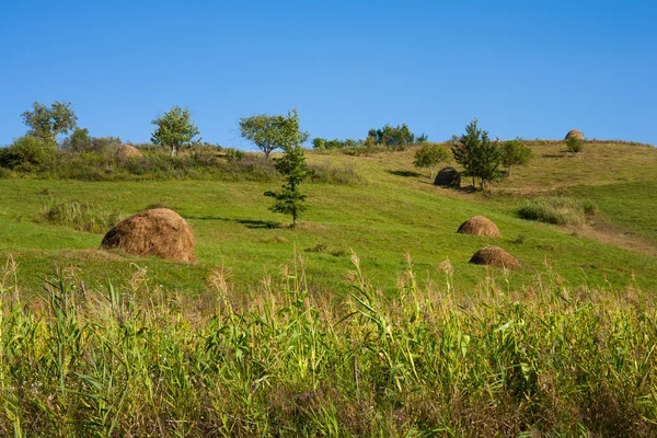 Landsbygdens landskap med hö-stackar och majs — Stockfoto