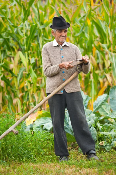 Vieil homme rural utilisant la faux — Photo