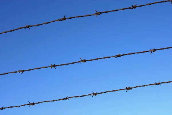 Cut wire fence detail on a clear sky — Stock Photo, Image