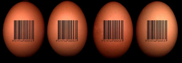 Яйца со штрих-кодами — стоковое фото