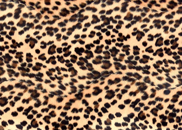 stock image Leopard print