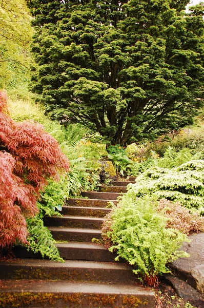 Botanische tuin — Stockfoto