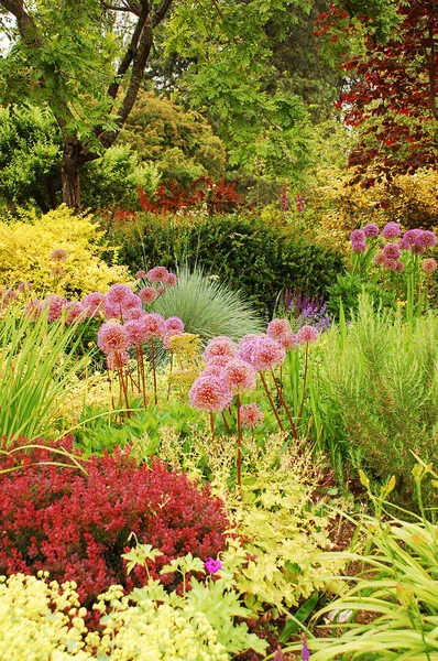 Kleurrijke weelderige tuin — Stockfoto