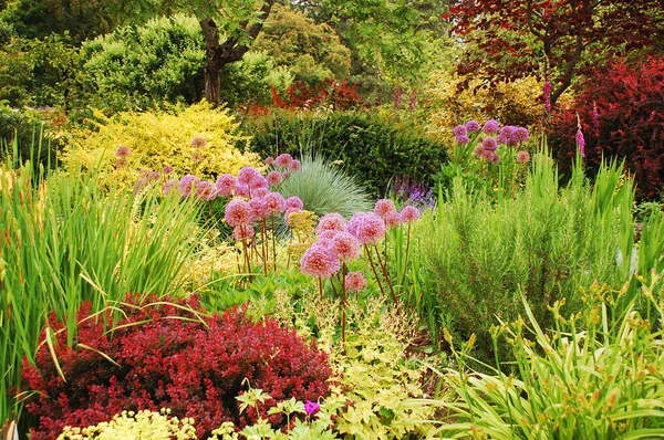 Colorato giardino lussureggiante — Foto Stock