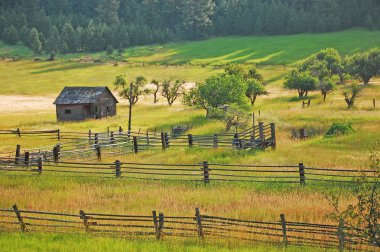 Little old shack in meadow clipart