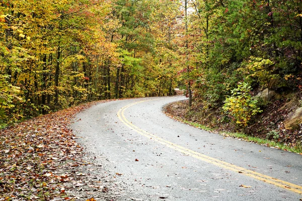 stock image Winding Road