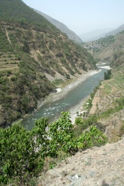 Yamuna Nehri Vadisi