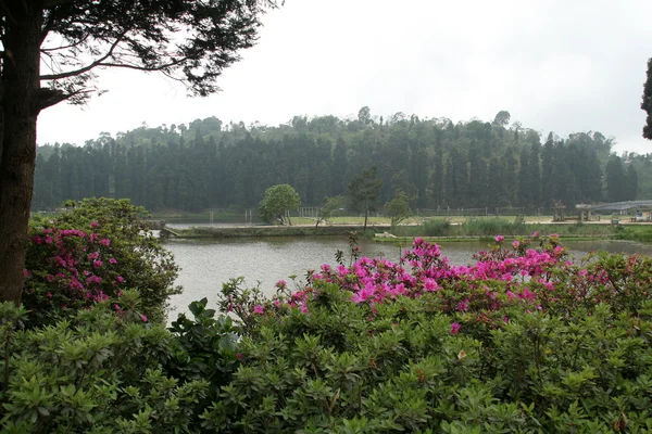 stock image Lake and Garden