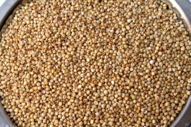 Jowar/Sorghum Grains clipart