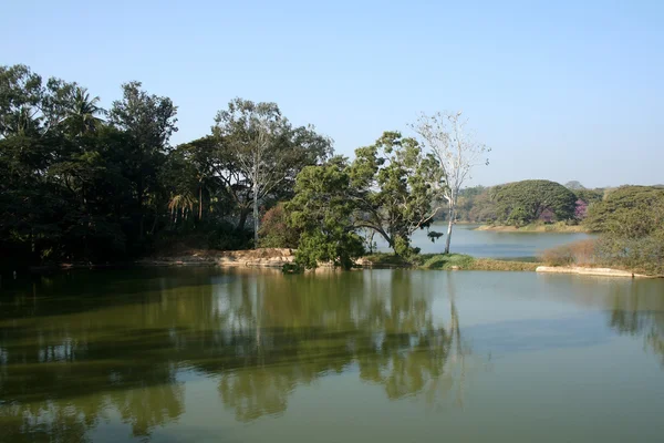 stock image Lake and Trees