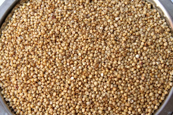Jowar/사탕수수 곡물 로열티 프리 스톡 이미지