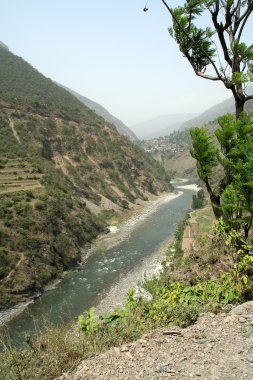 yamuna Nehri