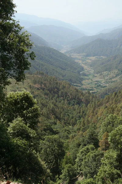 stock image Forest and Mountain Valley