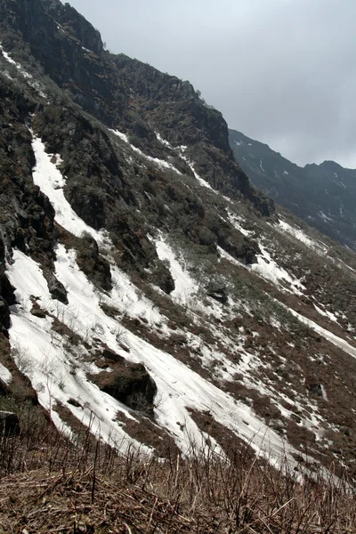 stock image Ice Capped Mountain Slope