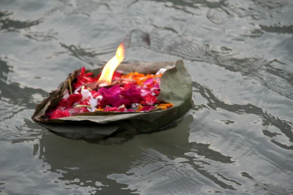 Floating Offering — Stock Photo, Image