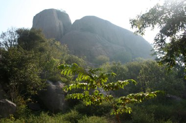 Elephant Rock