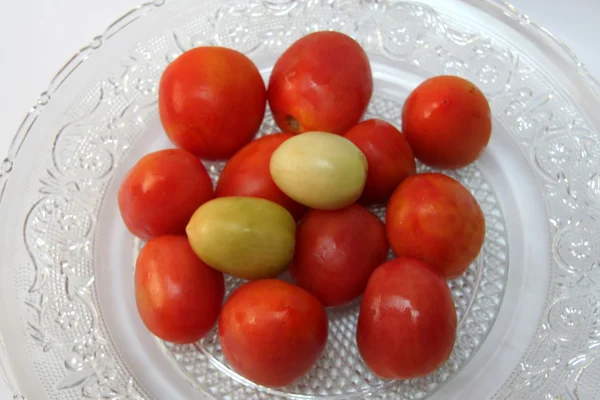 토마토는 트레이에 — 스톡 사진