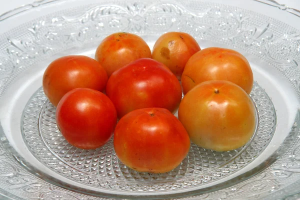 Šťavnatá rajčata — Stock fotografie