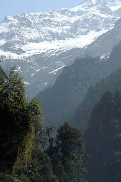 Himalaya manzarası — Stok fotoğraf