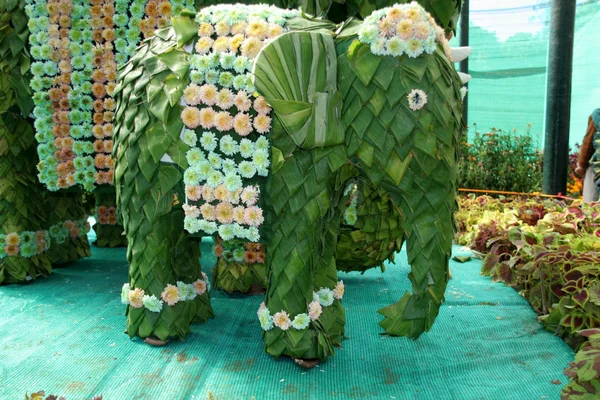 绿叶大象 — 图库照片
