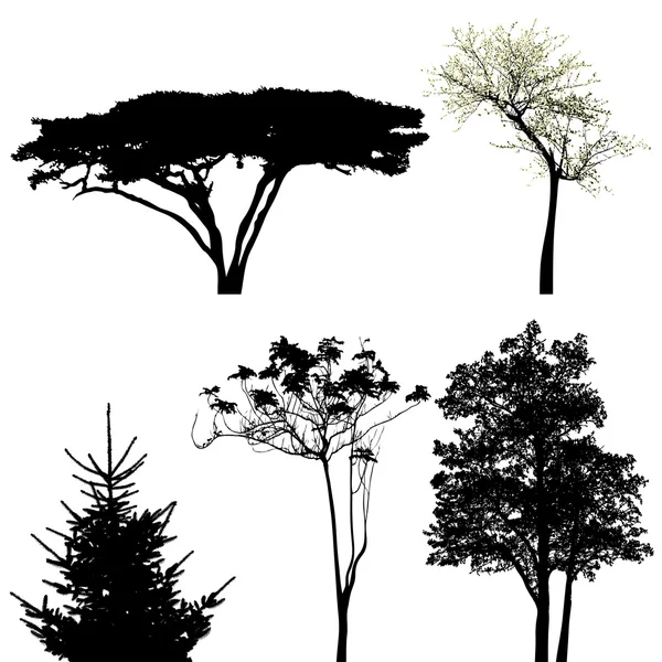 Деревья - коллекция векторов — стоковый вектор