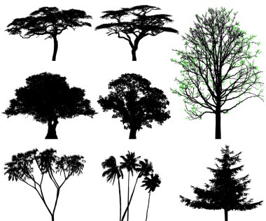 Trees - vector set clipart