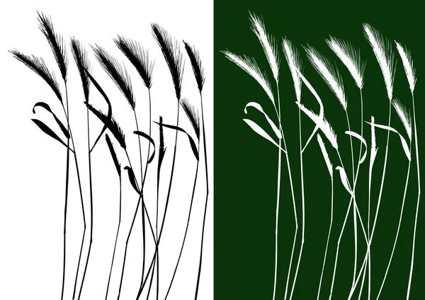 Набор векторных травяных силуэтов — стоковый вектор