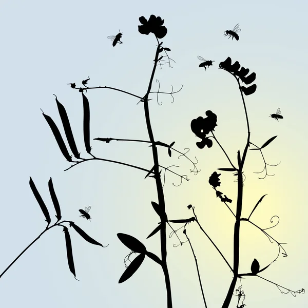 Silhouettes d'herbe vectorielle — Image vectorielle