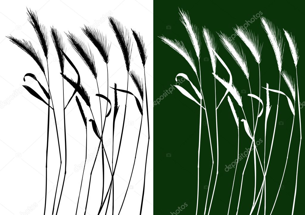 Set of vector grass silhouettes
