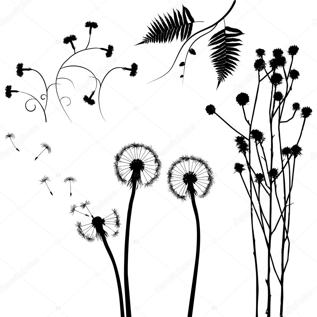 Collection, for designers, plant vector