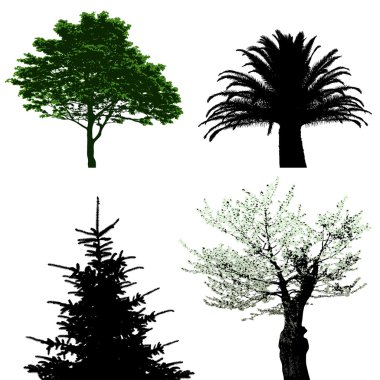 Trees - vector collection clipart