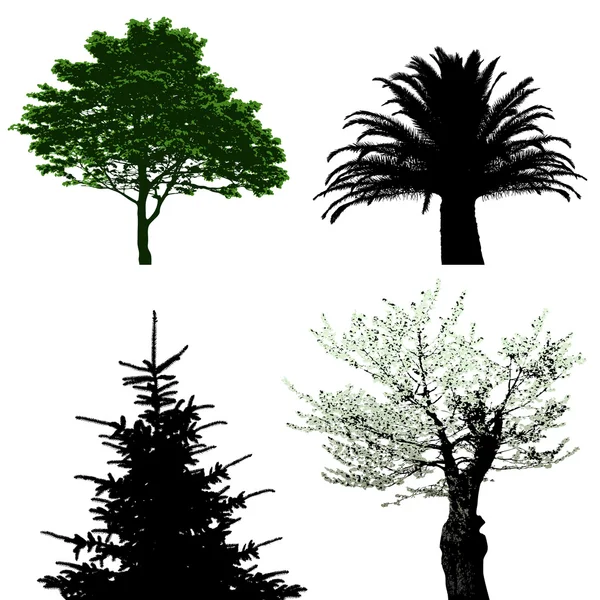 Drzewa - wektor zbiory — Wektor stockowy