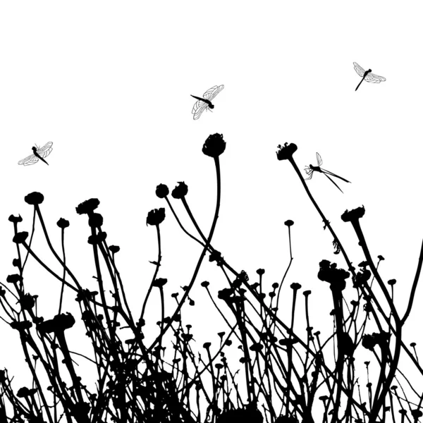 Silhouette en herbe véritable - libellule — Image vectorielle