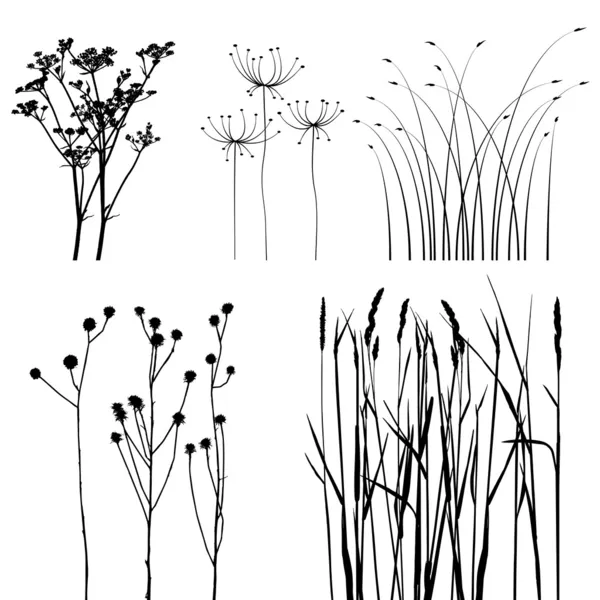 集合中，为设计师的植物矢量 — 图库矢量图片