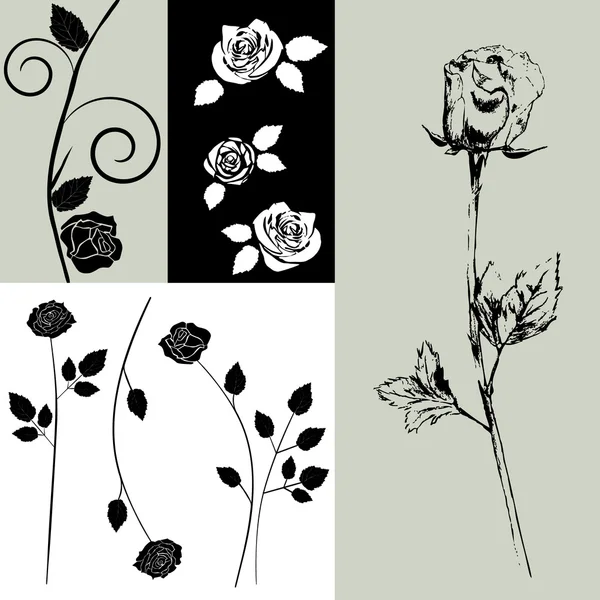 Tarjeta - colección de vectores con rosas — Vector de stock