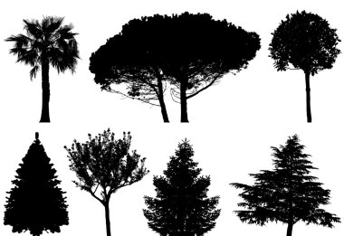 Trees - vector set clipart